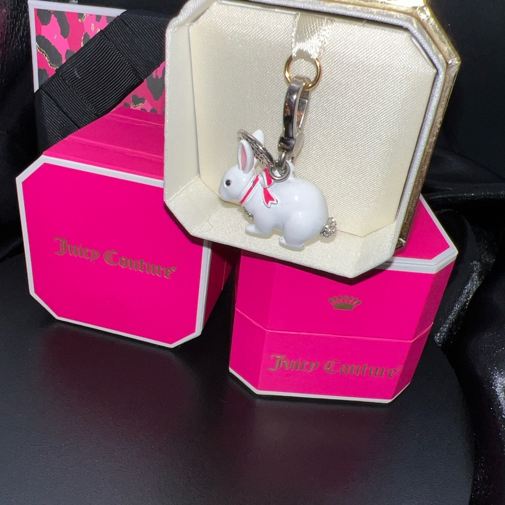 BNIB VINTAGE Juicy Couture Snow Bunny Charm With Crystal Rhinestones. Y2K - Picture 5 of 8